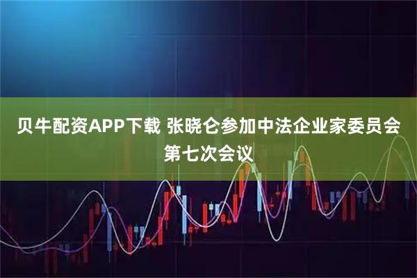贝牛配资APP下载 张晓仑参加中法企业家委员会第七次会议